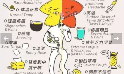 吸血针能扎坏人吗-吸血蠓-吸血蝱,中国吸血针炙疗法效果如何网站